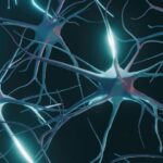 Intraoperative Neuromonitoring