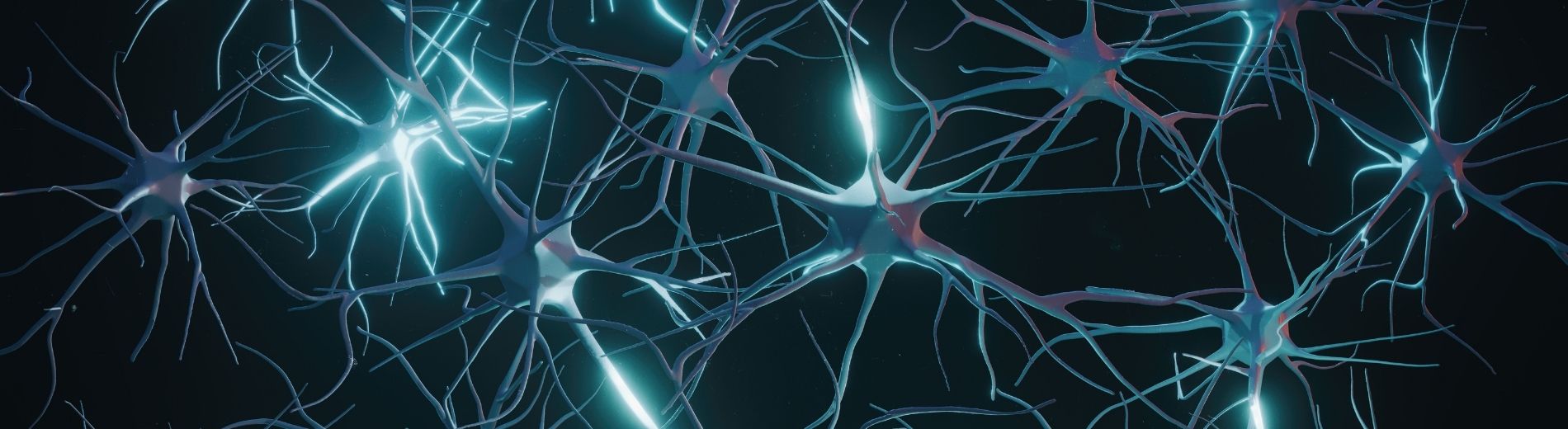 Intraoperative Neuromonitoring